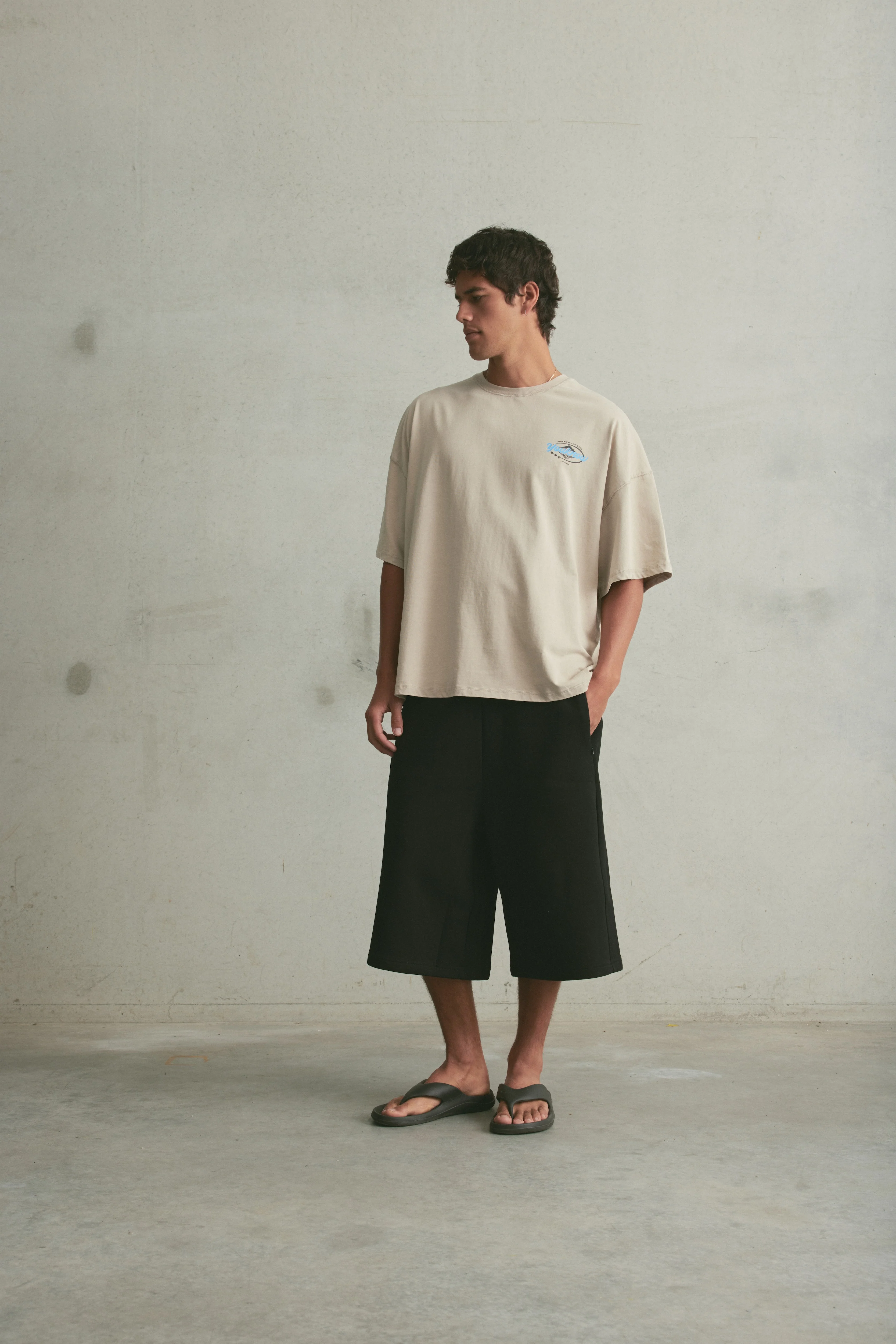 Aotearoa Tee SS | Washed Grey - Image 7