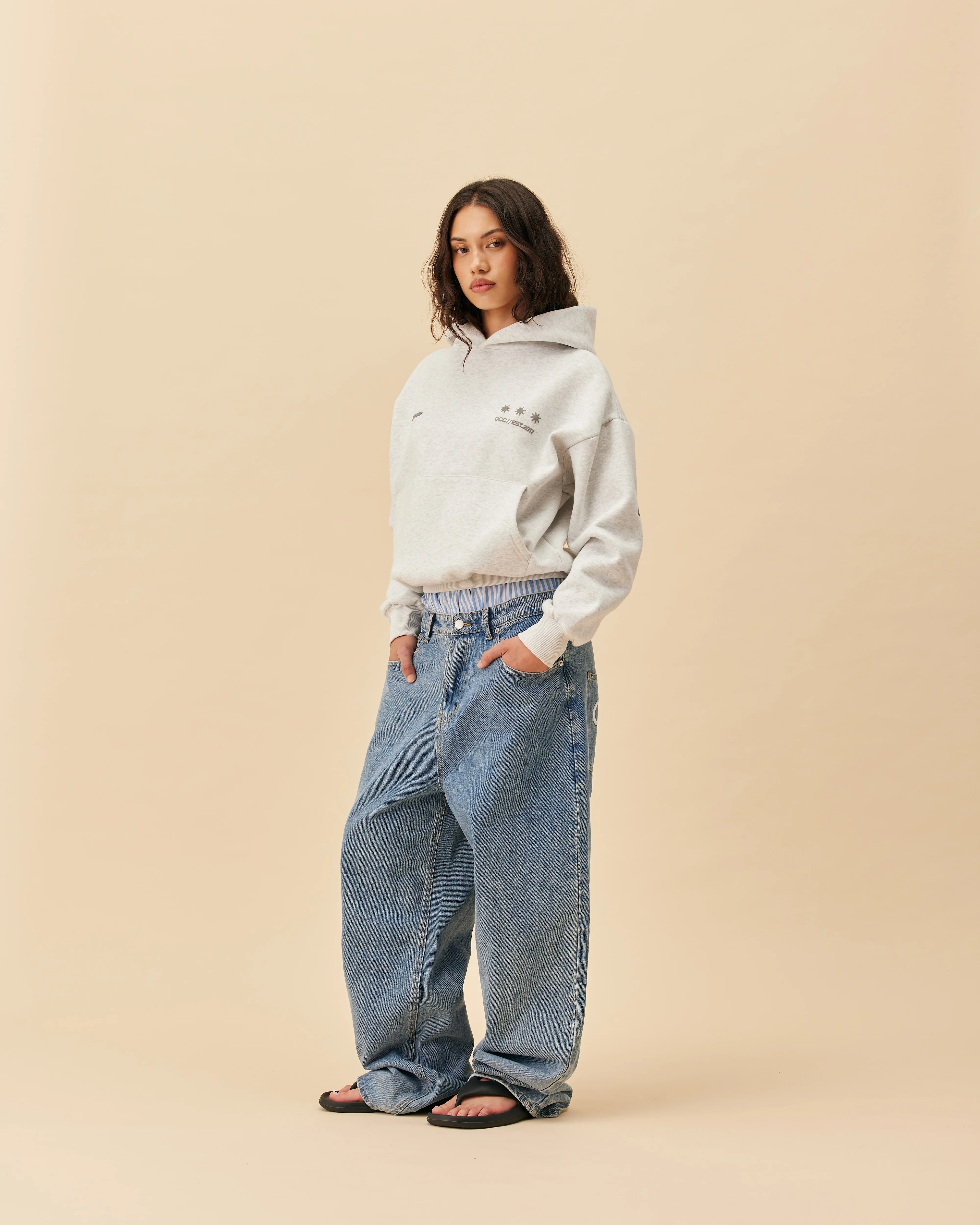 Big Back Hoodie | Chalk Dust - Image 6