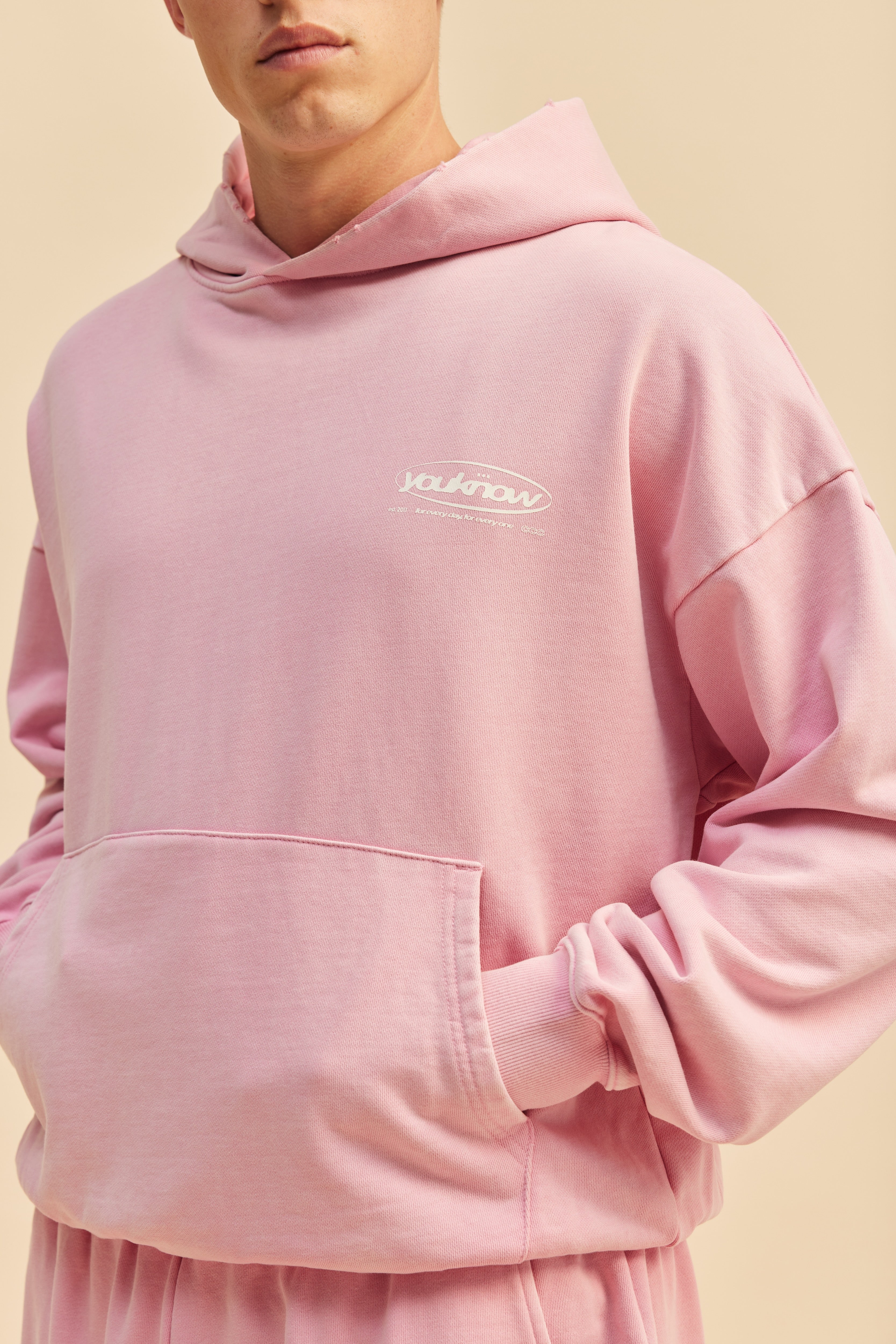 Distressed Logo Hoodie | Washed Pink - Image 4